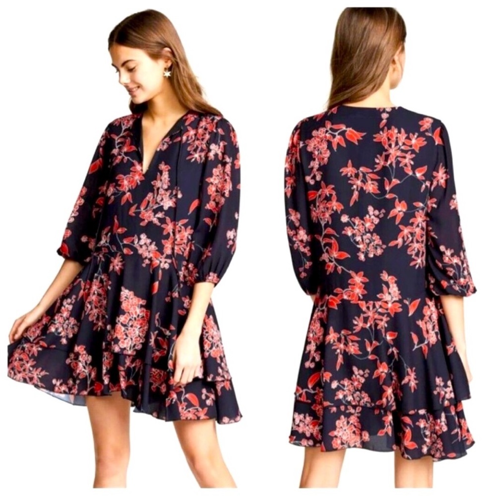 Alice & Olivia 3\4 sleeve Japanese garden dress